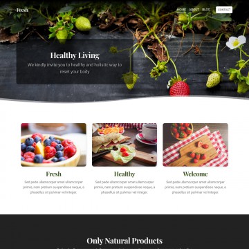 Fresh Website Template