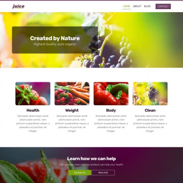 Juice Website Template