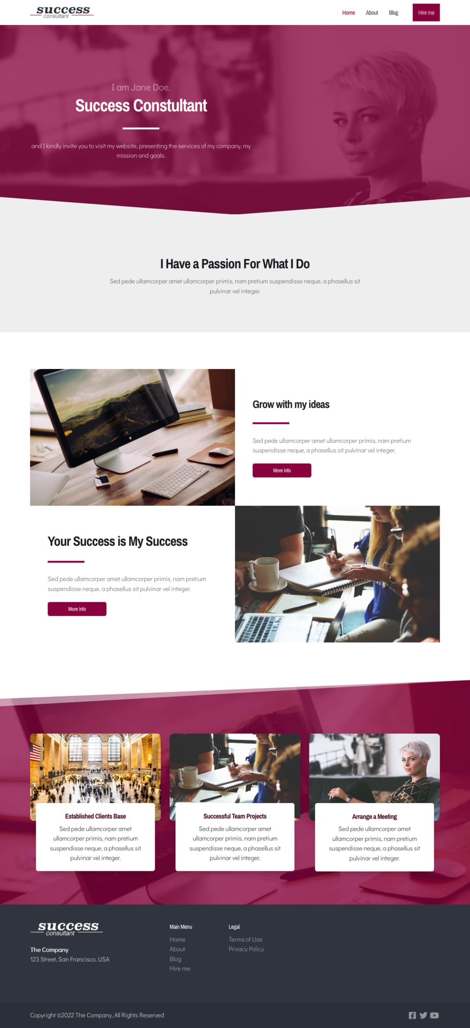 Consultant Website Template - Perfect for consultants, managers, businessmen, insurance professionals, and anyone looking to showcase success and professionalism.