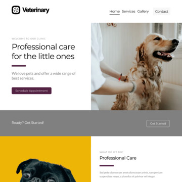 Veterinary Clinic Website Template (6)
