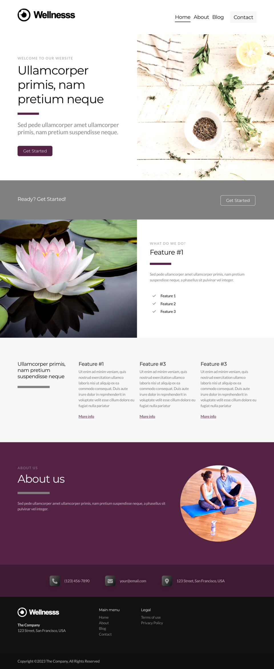 Wellness Website Template - Ideal for wellness spas, health coaches, fitness studios, nutritionists, and personal development bloggers
